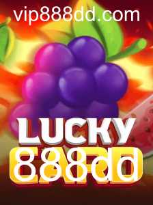 LuckyCard: O Jogo de Cartas que Combina Sorte e Estratégia